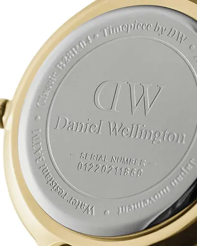 Daniel Wellington Petite Evergold DW00100350